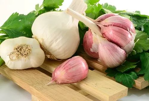 تصویر 5 از خرید و قیمت سیر تازه کیلویی + فروش عمده
